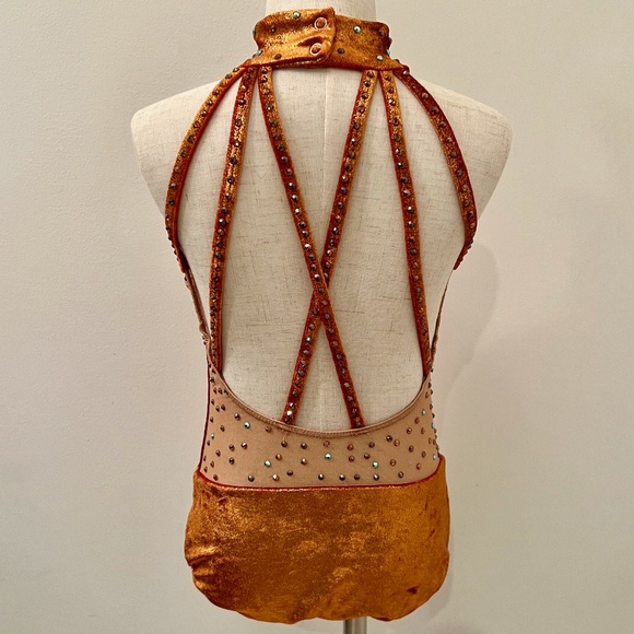 Dance Costume - CH LG - Copper, Velvet Leotard - Picture 2 of 3